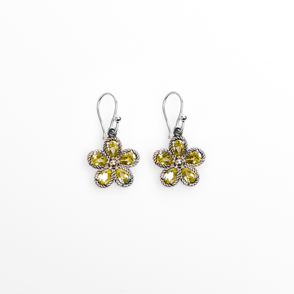 CONJUNTO HERA