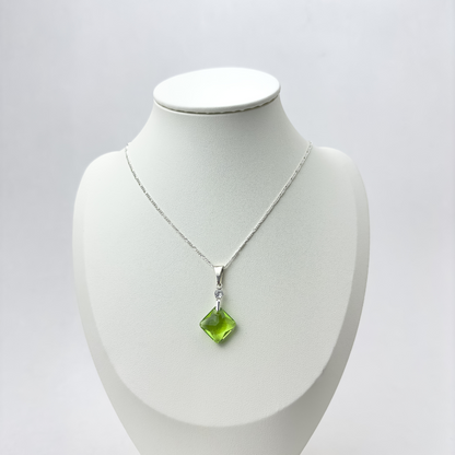 COLLAR NATURALEZA